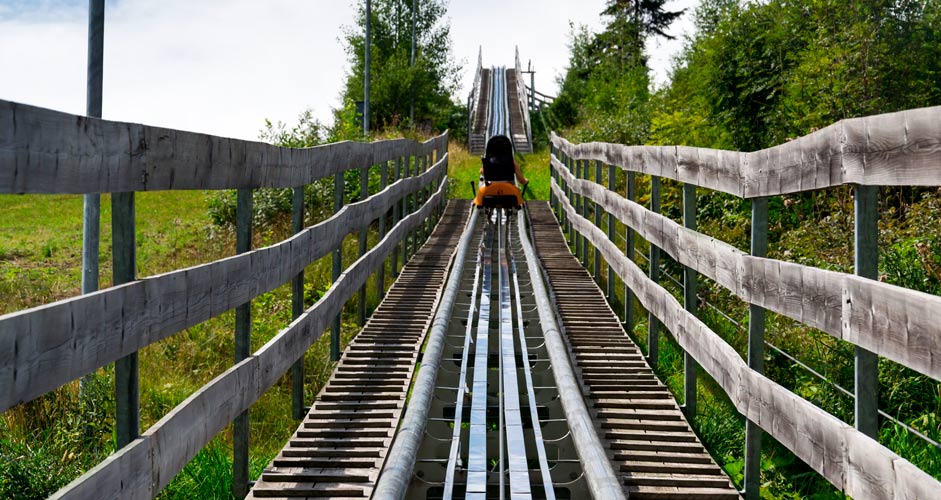 Sommerrodeln am Rittisberg