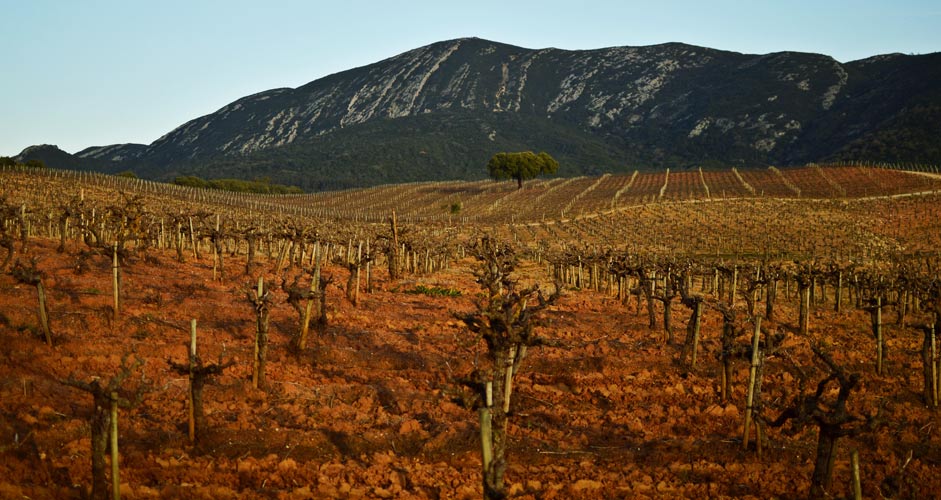 Naturpark Arrábida