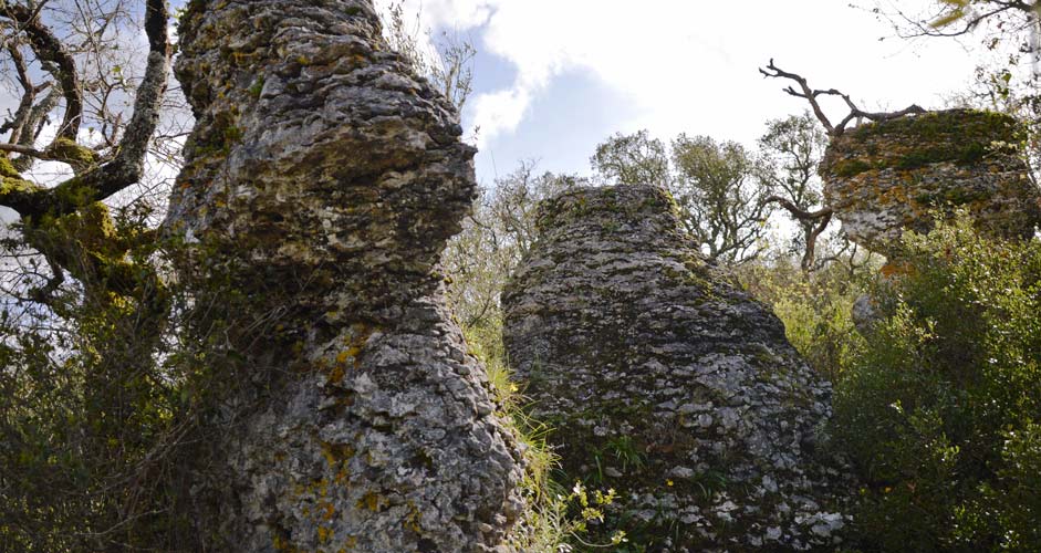 Die Kalksteinformationen von Granja dos Serrões