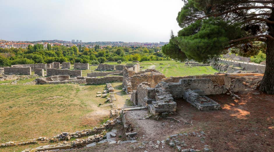 Salona